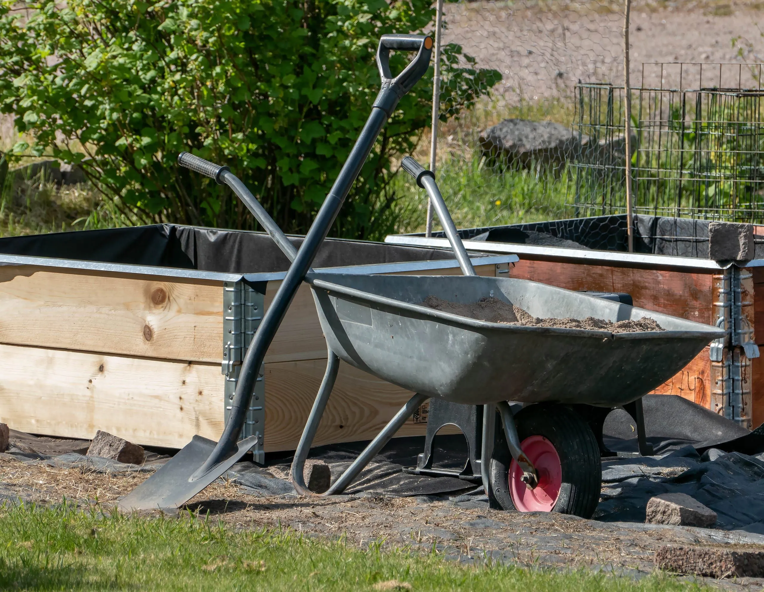 A wheelbarrow of soil with a spade leaning across it, in front of raised timber garden beds